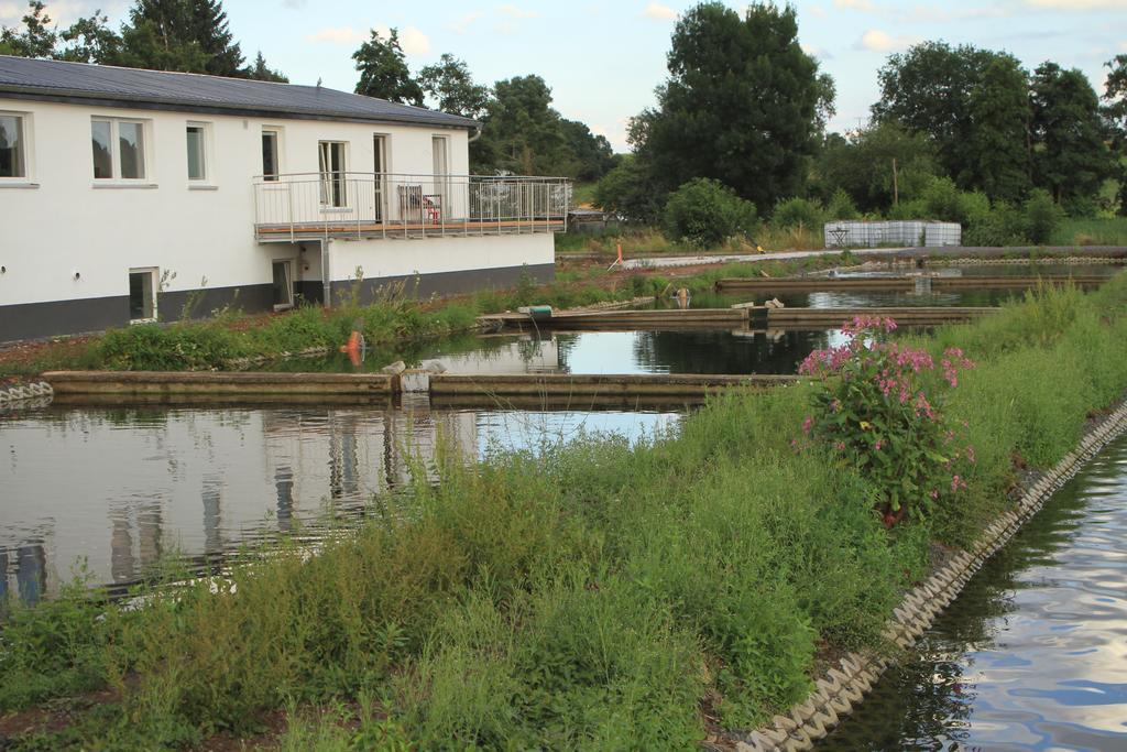 Ruhige Ferienwohnungen Mit Teichblick Wetterfeld Esterno foto